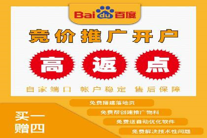 百度推广中的创意策略：成功案例解析与启示